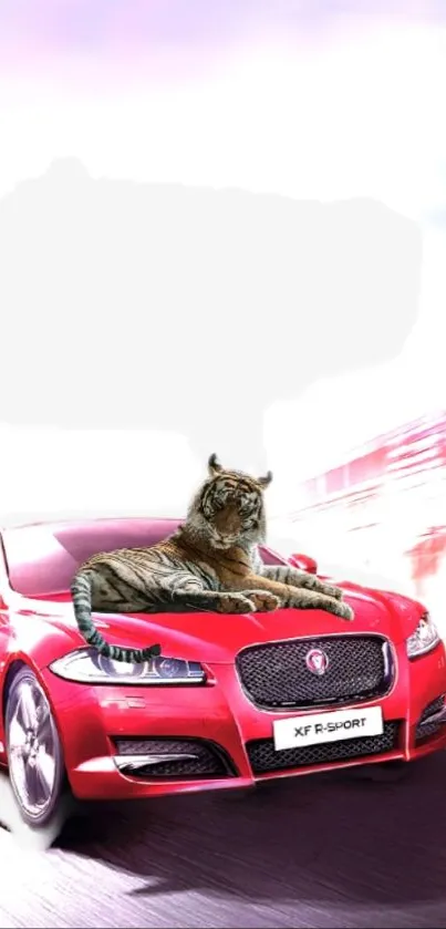 Tiger resting on a red sports car with a blurred background.