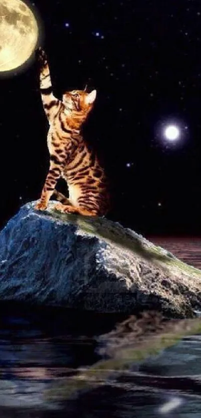 Tiger on rock reaching for moon in night sky wallpaper.