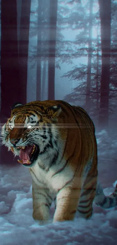 Roaring tiger in a misty forest with snow-covered ground.