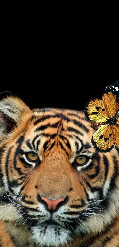 Tiger with butterfly on head in a stunning mobile wallpaper.