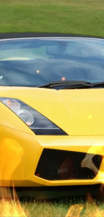Lamborghini  Live Wallpaper
