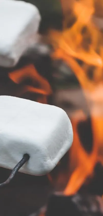 Marshmallows roasting over an outdoor campfire with vibrant flames.