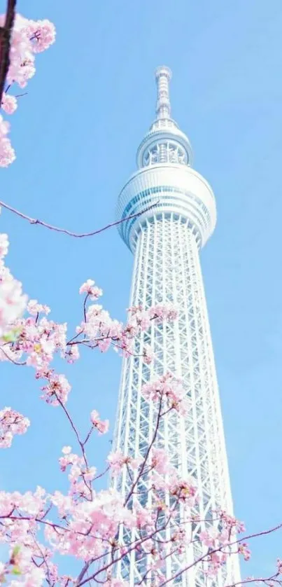 Tokyo Skytree with cherry blossoms under a blue sky wallpaper.