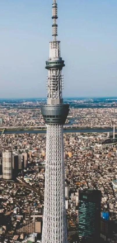 Tokyo tower against a clear blue sky, city below.