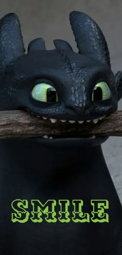 Toothless dragon smiling with a branch, featuring the word 'SMILE' on its chest.