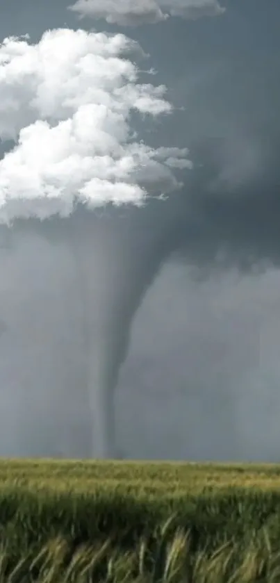 Tornado swirling under dramatic clouds in an open field.