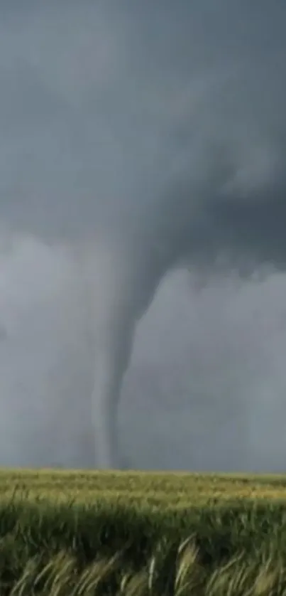 Dramatic tornado swirling over a grassy field under a stormy sky.