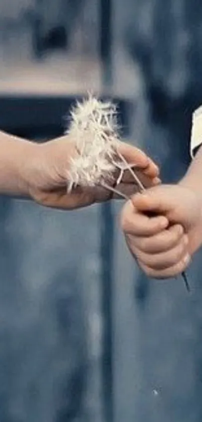 Hands exchanging a single dandelion.