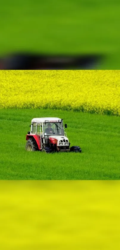 Red tractor in green and yellow fields under a clear sky.