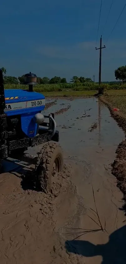 Blue tractor driving through muddy farmland.