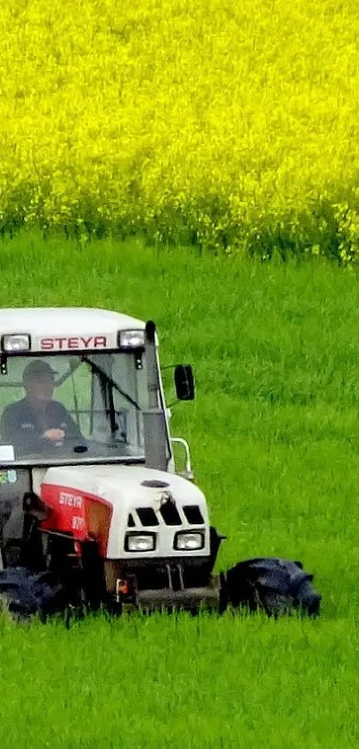 Tractor driving through vibrant green field with yellow flowers.