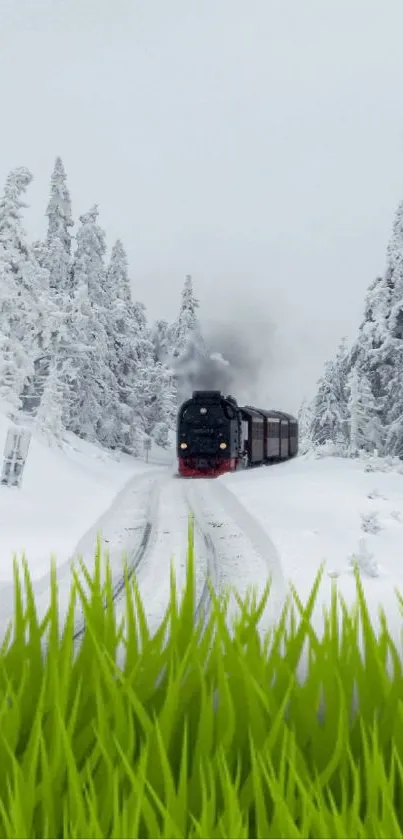 A train travels through a snowy landscape with green grass in the foreground.