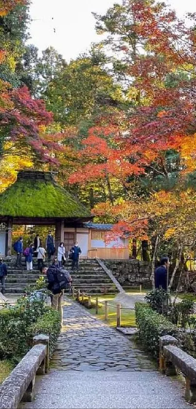 Tranquil garden path with vibrant autumn foliage.