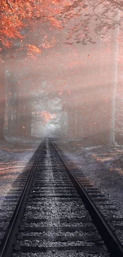 Autumn railway path with sunlit trees creating a serene and tranquil scene.