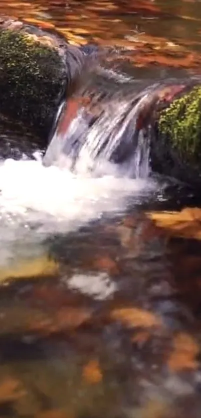 Autumn stream flowing over mossy rocks surrounded by fall leaves.