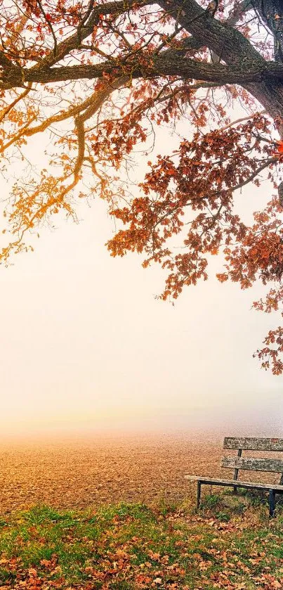 Serene autumn scene with tree and bench under orange leaves.