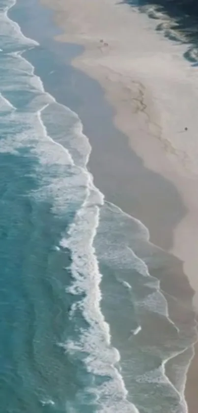 Aerial view of a tranquil beach with waves and sandy shores.