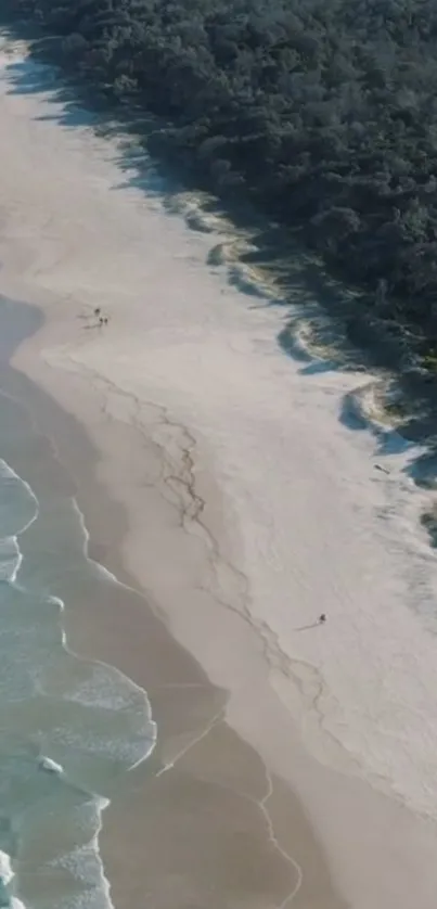 Aerial view of a serene beach with gentle waves and lush forests.