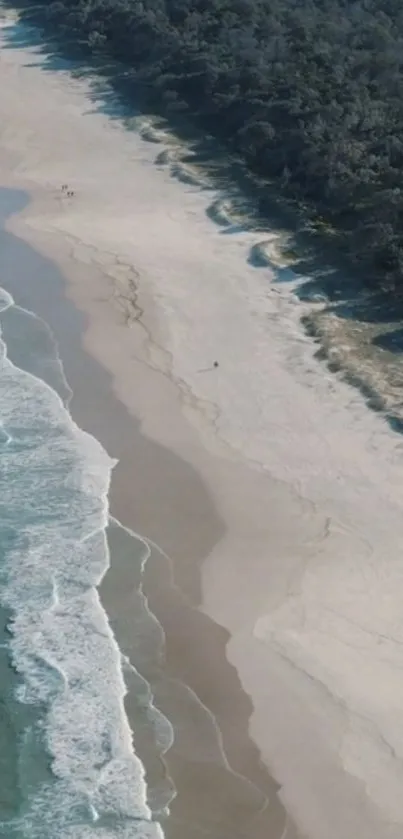 Aerial view of a tranquil beach with waves and lush greenery.