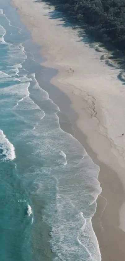 Aerial view of a serene beach with gentle ocean waves and lush coastline.