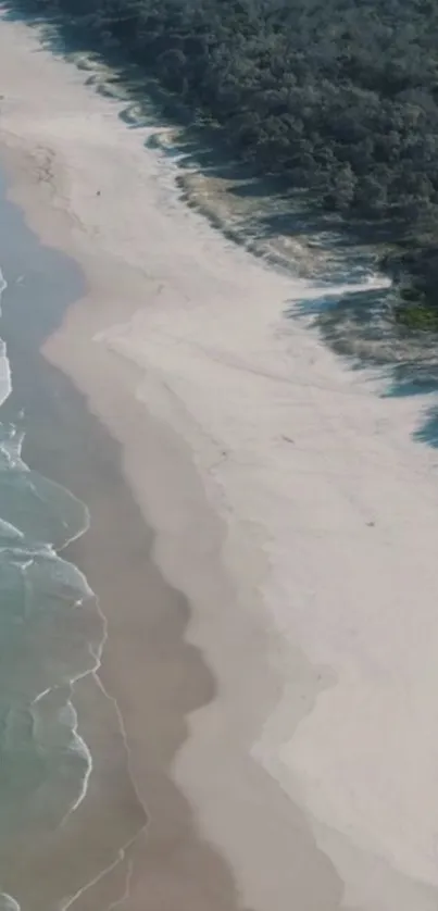 Aerial view of a tranquil beach with waves and forest.