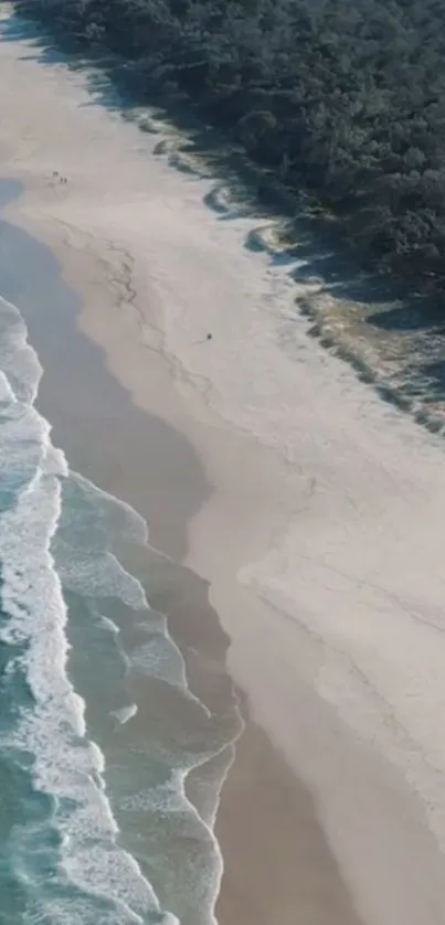 Aerial view of a tranquil beach coastline with gentle waves and lush greenery.