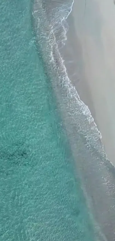 Aerial view of turquoise beach shoreline with gentle waves.