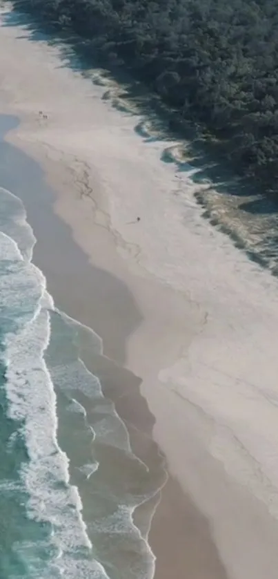 Aerial view of tranquil beach with turquoise water and white sand.