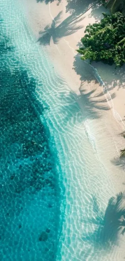 Aerial view of a tranquil turquoise beach with lush greenery.