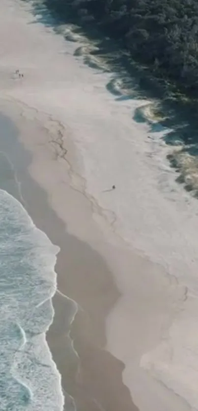 Aerial view of a serene beach with turquoise waves and lush green forest.