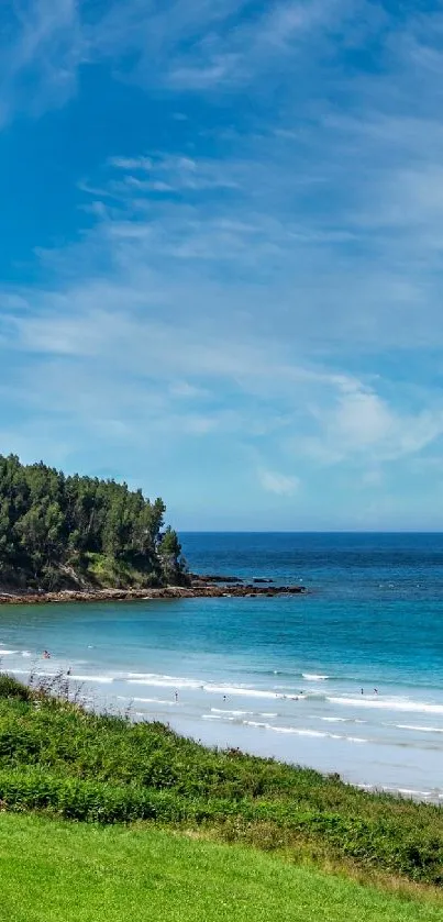 Serene beach with a clear blue sky overlooking the ocean.