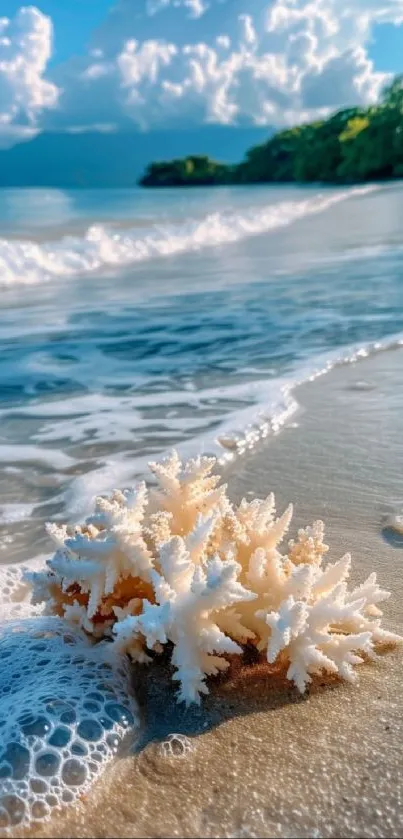 Tropical beach with coral and clear waves under a bright blue sky.