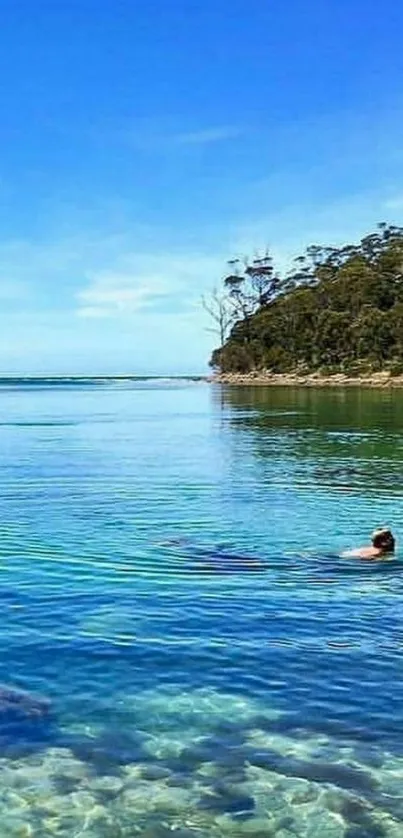 Tranquil beach scene with clear blue sky and calm water.