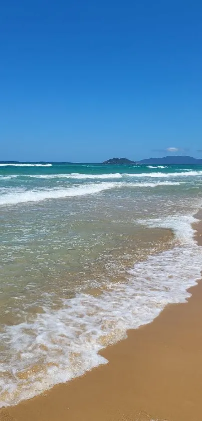 Tranquil beach with blue sky, gentle waves, and golden sand.