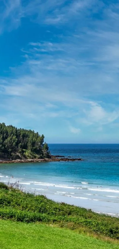 Serene beach with clear sky and lush greenery wallpaper.