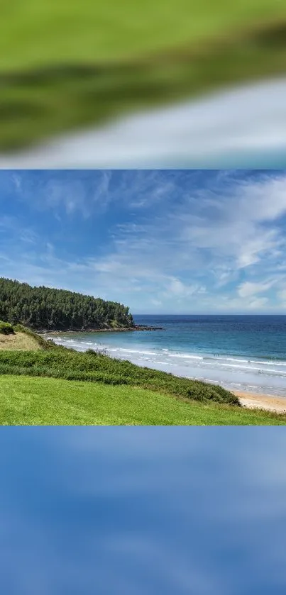 Tranquil beach landscape with ocean and blue sky.