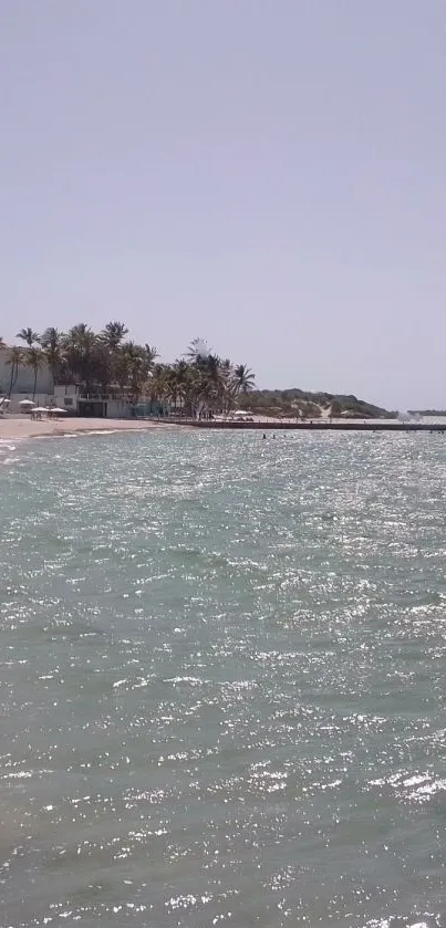 Tranquil beach with ocean waves and palm trees under a clear sky.