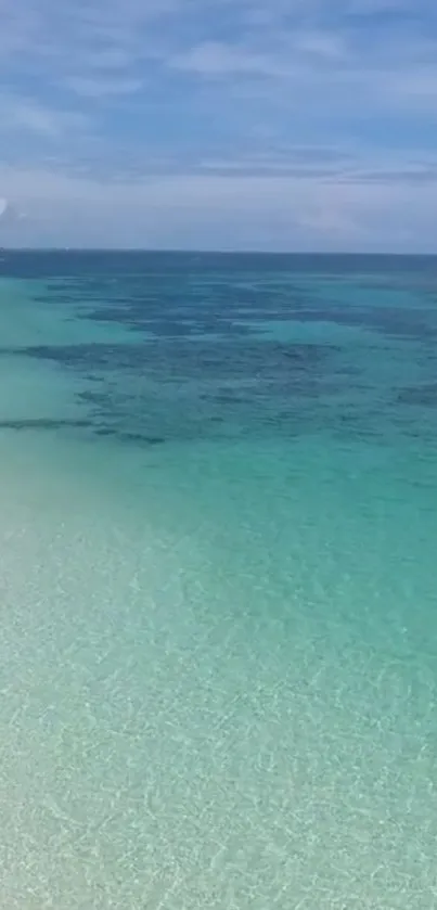 Serene turquoise beach view with clear waters and blue sky.