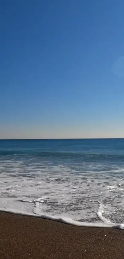 Tranquil beach scene with blue sky and ocean waves.