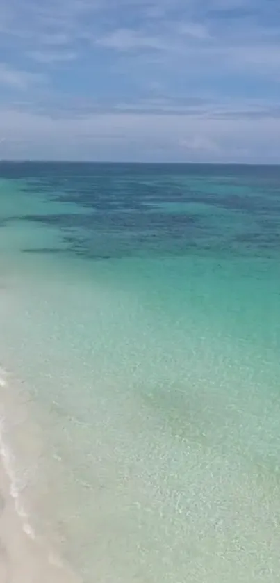 Serene turquoise beach with clear waters and soft sandy shore.