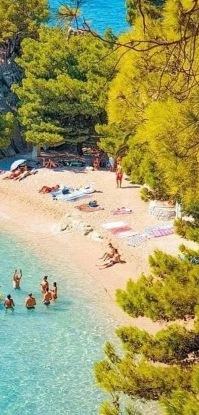 Tranquil beach scene with turquoise waters and lush trees.