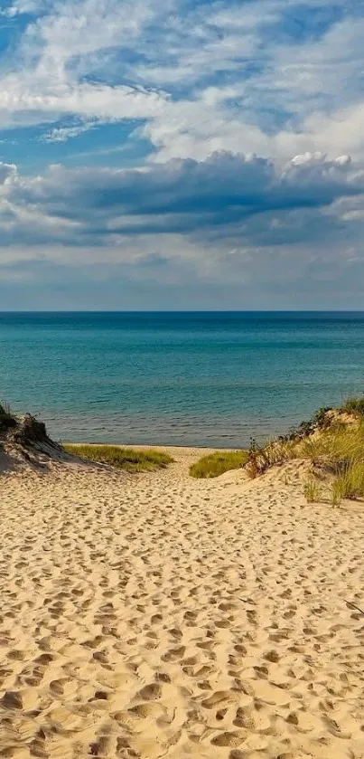 Sandy beach path leading to serene ocean.