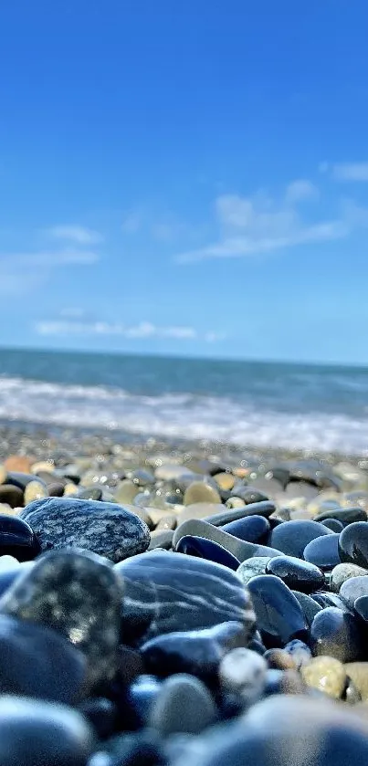 Close-up of beach pebbles under a clear blue sky and ocean.