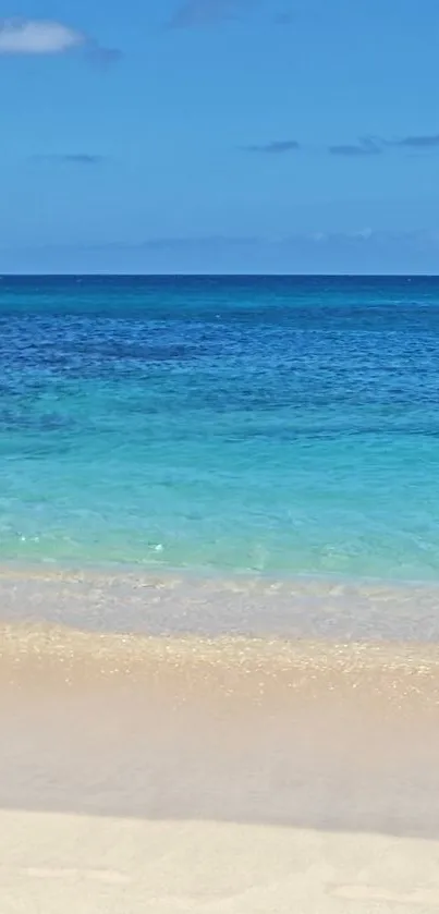 Tranquil beach scene with turquoise ocean and sandy shore.