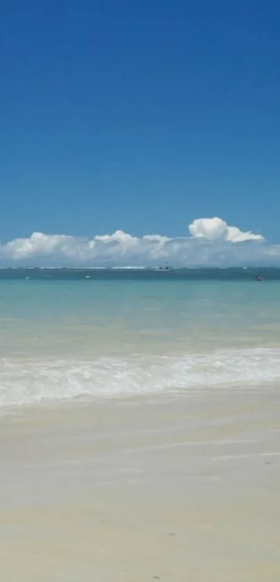 Tranquil beach wallpaper with blue sky and waves.