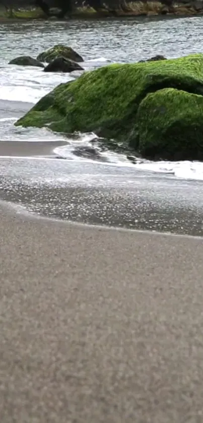 Moss-covered rocks along a serene beach with gentle waves.