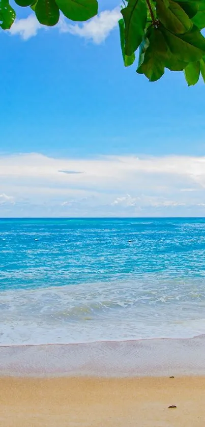 A serene beach with blue ocean and sky, golden sand, and green leaves.