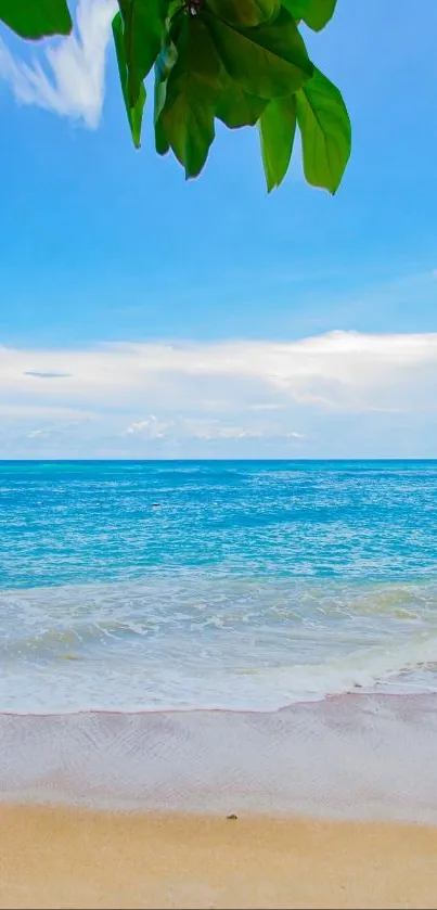 Tranquil beach wallpaper with blue sky and ocean waves.