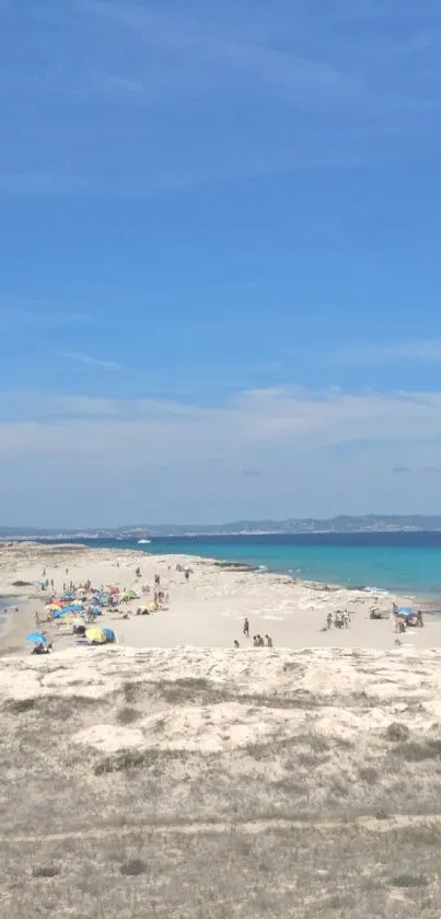 Serene beach with blue sky and ocean