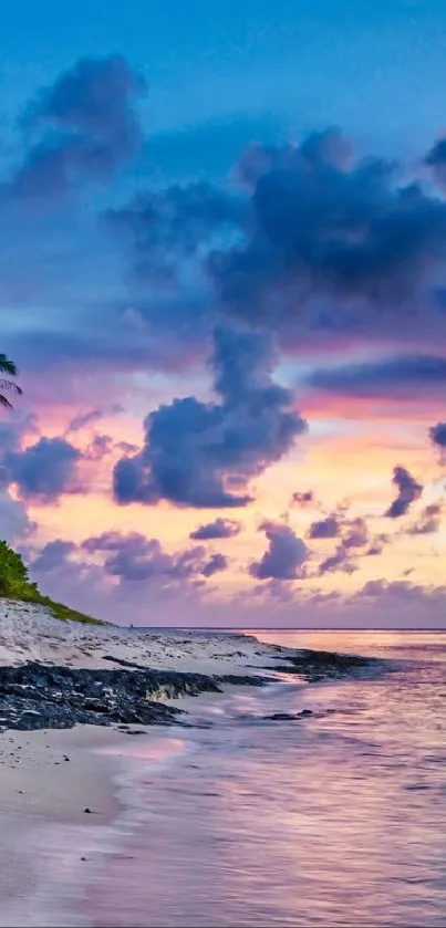 Beach sunset with vibrant sky and palm trees reflecting on the ocean.